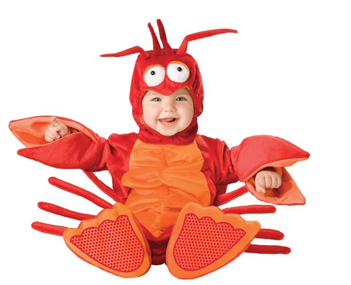 Costume Enfant Ultra-Doux pour un Déguisement Magique - Mini Féroce