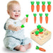 Carottes Montessori en bois pour enfants - CarrotPuzzle