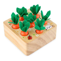 Carottes Montessori en bois pour enfants - CarrotPuzzle