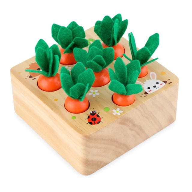 Carottes Montessori en bois pour enfants - CarrotPuzzle